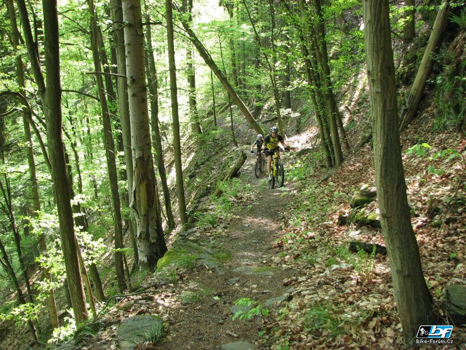 img2836.jpg