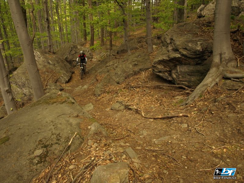 p5028386.jpg