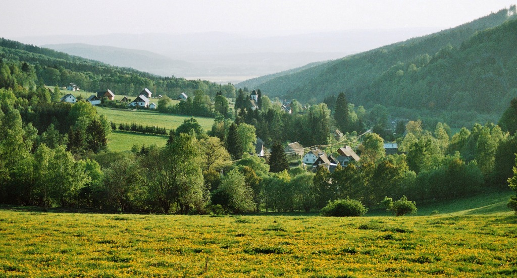 Jaro2.jpg