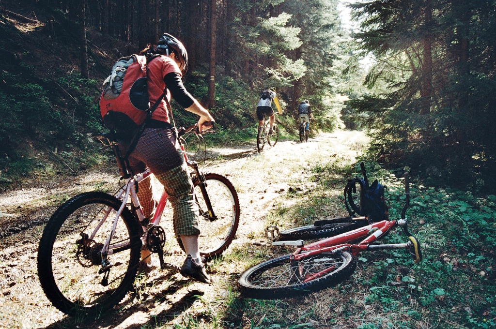 Jaro4.jpg