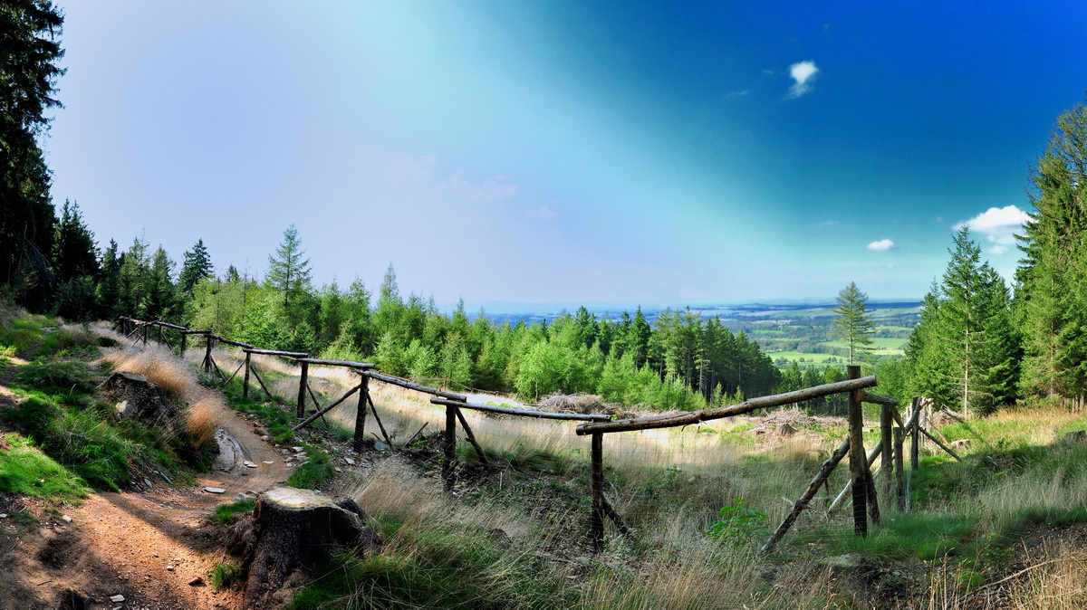 panorama