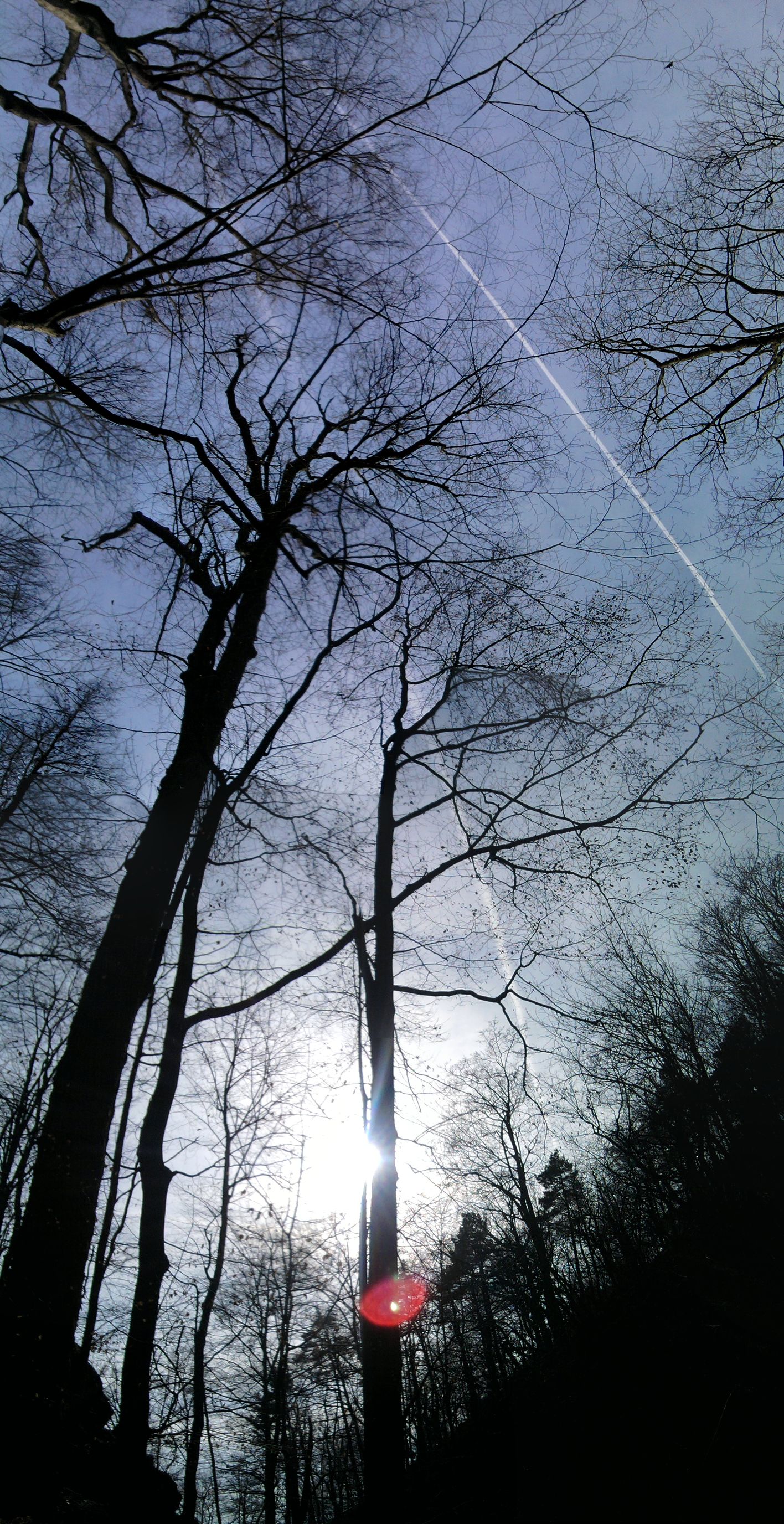 Fotografie074_stitch