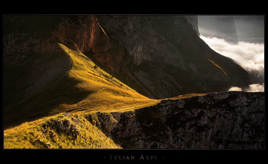 Julian-VII